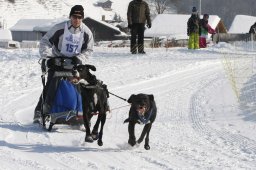 Lenk 2012 SM